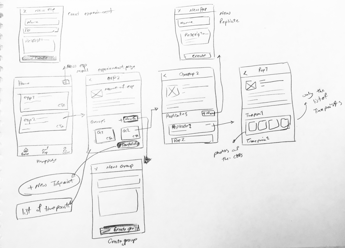 SnapCyte cell growth calculator, primary ux flow sketches (2)