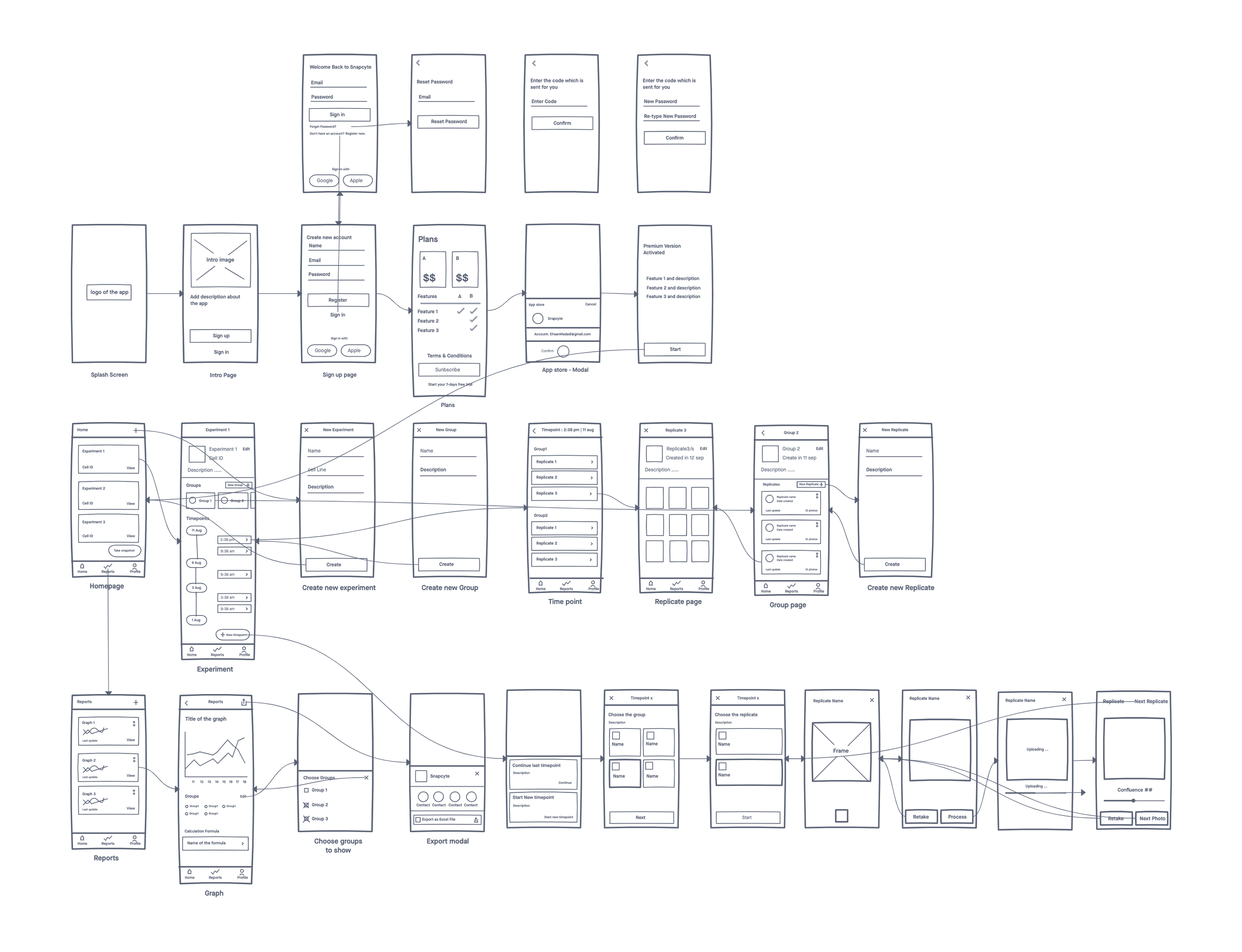 SnapCyte cell growth calculator, low fidelity wireframe